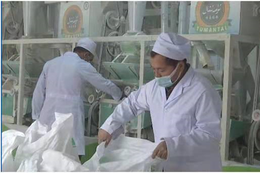 新疆工信厅驻村工作队：产业带动就业 促进农民增收